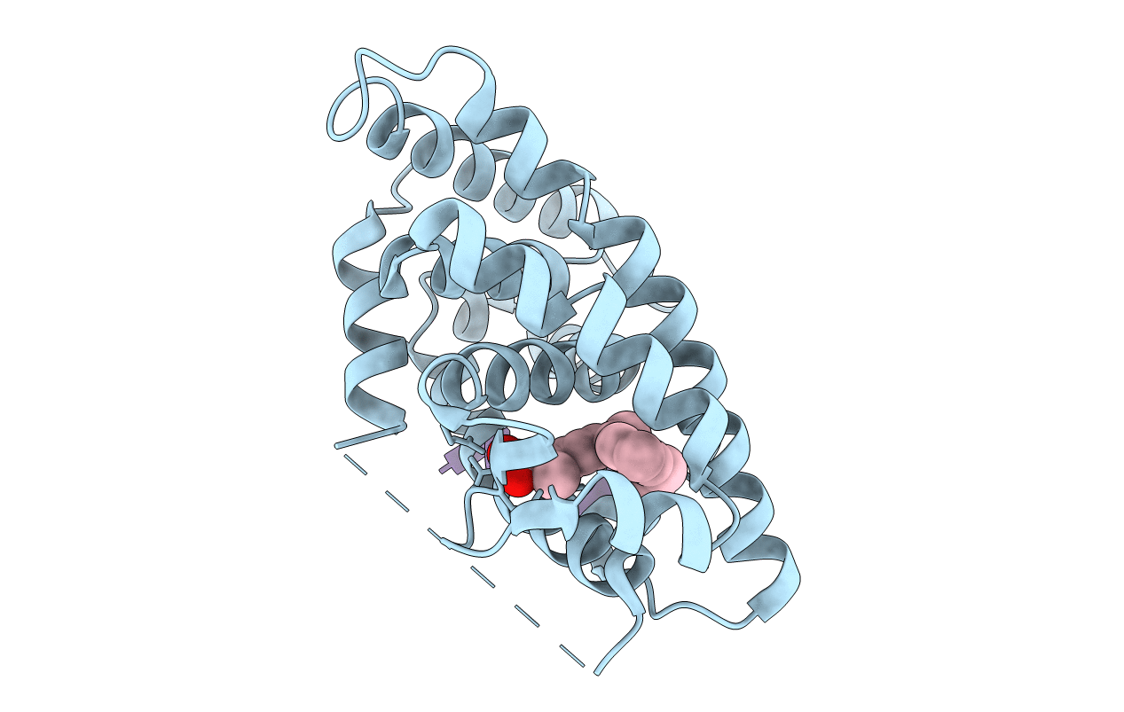 4PP3 image