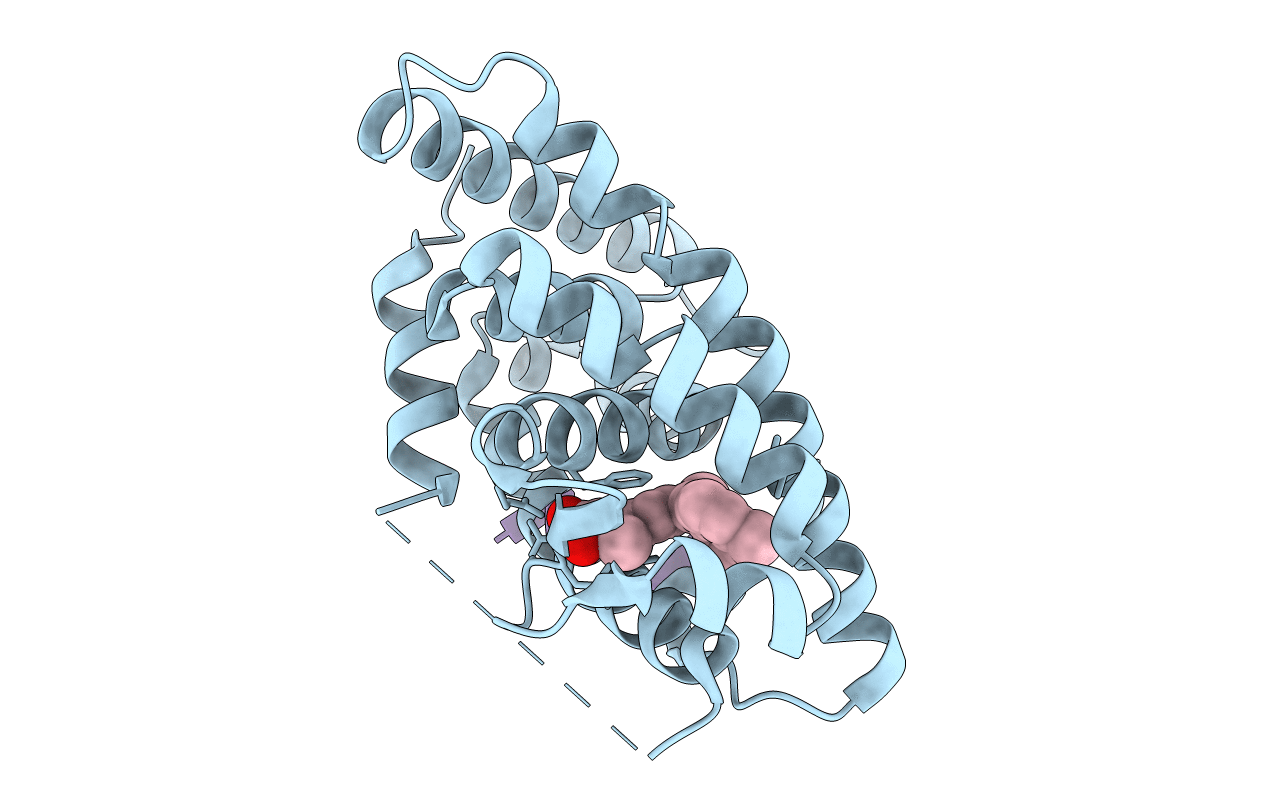 4PP5 image