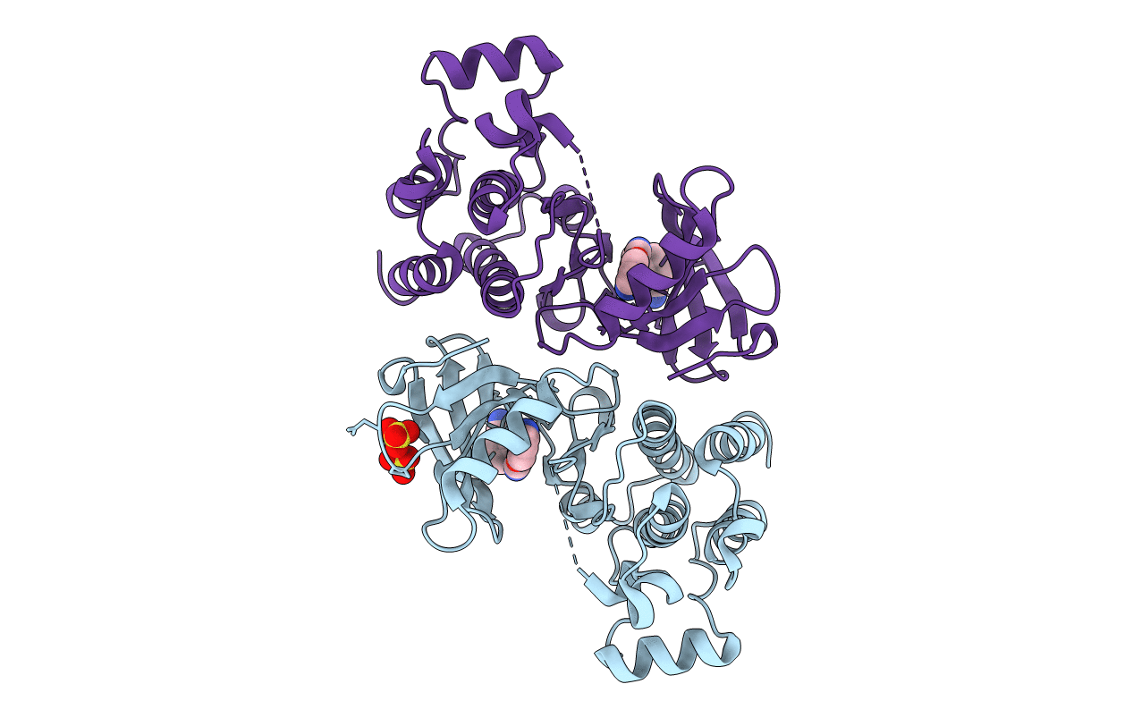 4PP9 image
