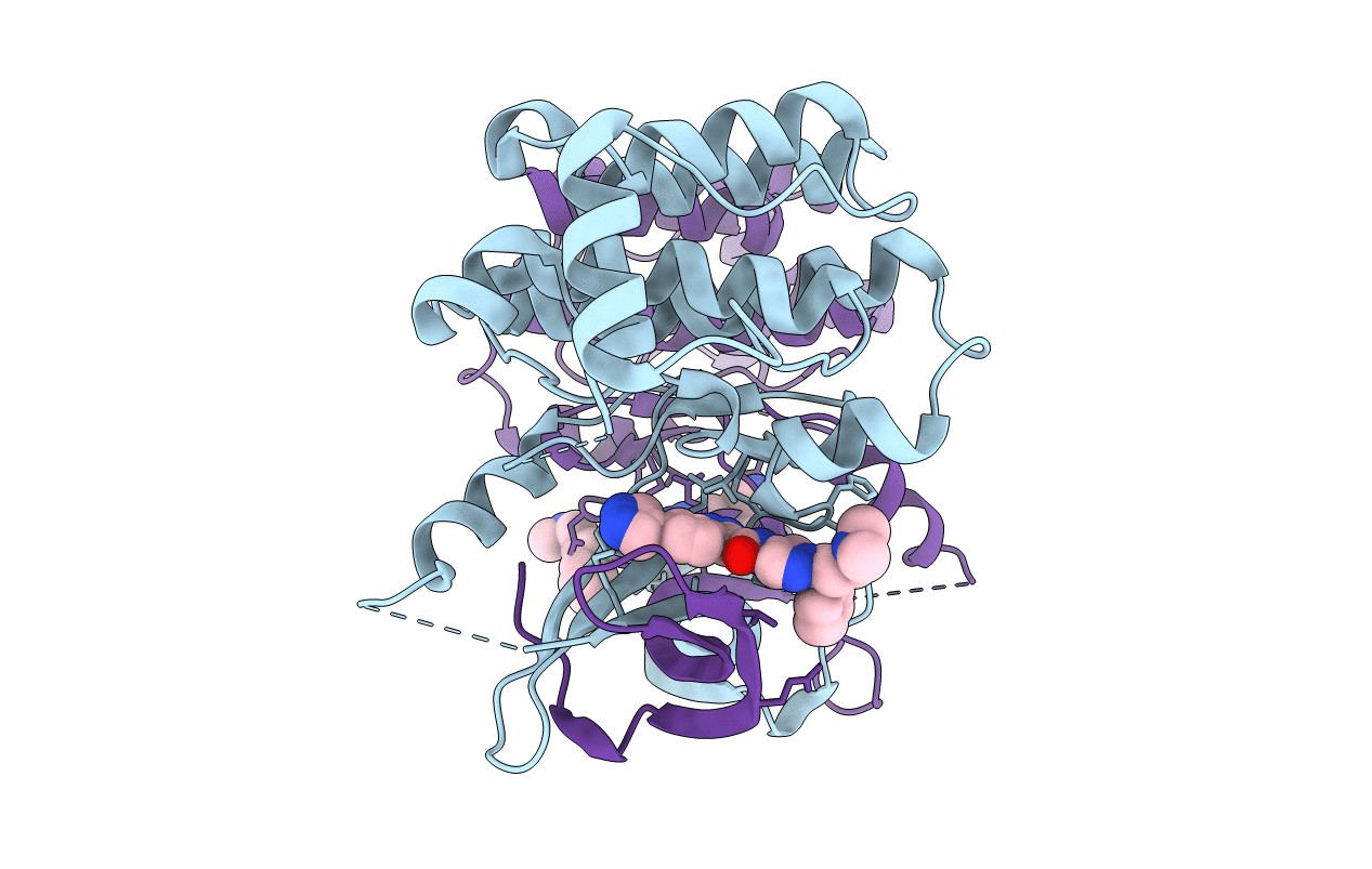 4PPB image