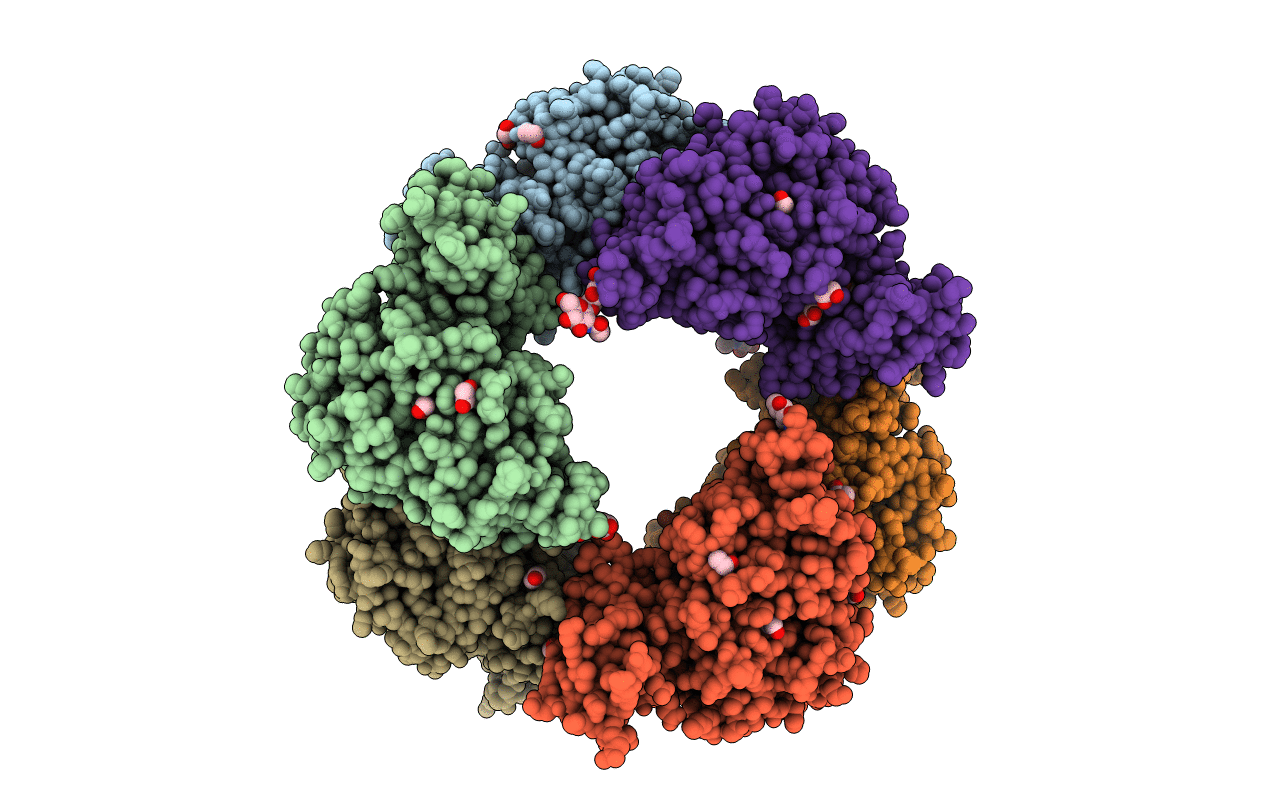 4PPH image