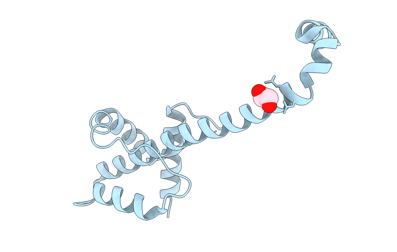 4PPI image