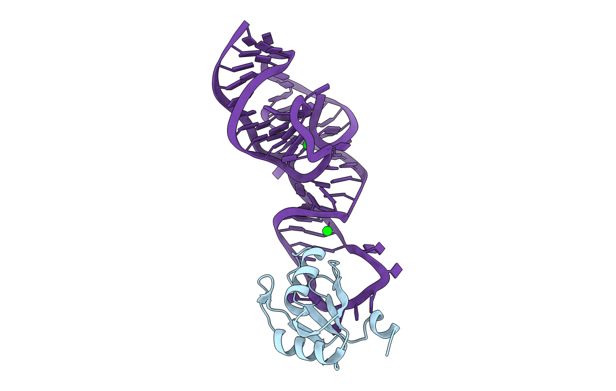 4PRF image