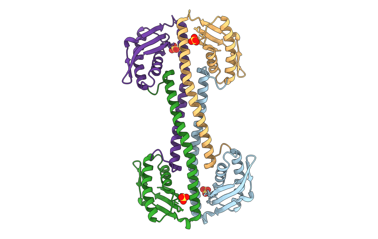 4PSM image