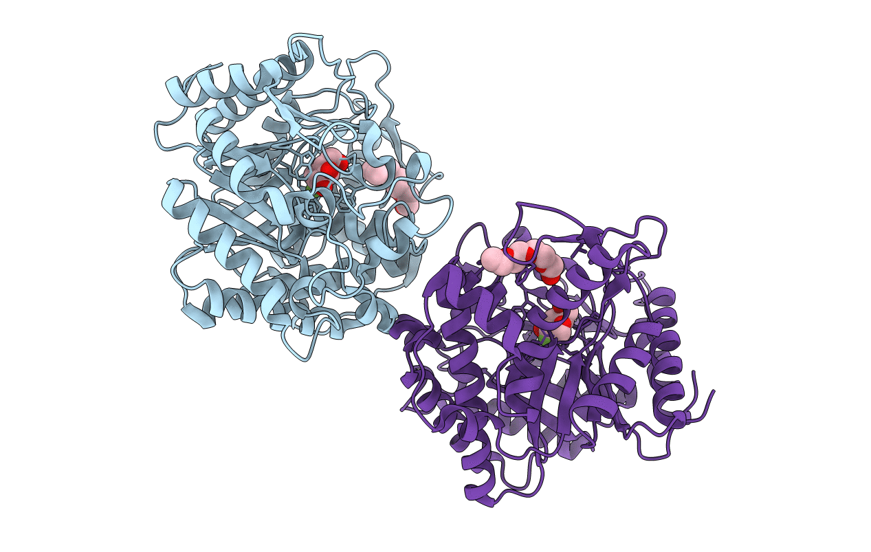 4PTW image