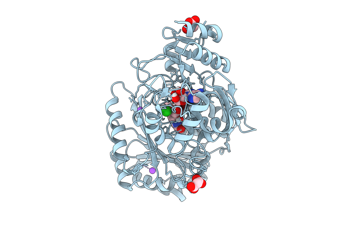 4PVK image