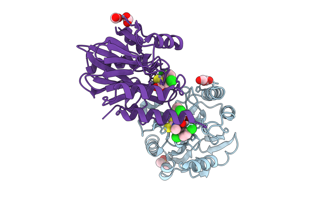4PVO image