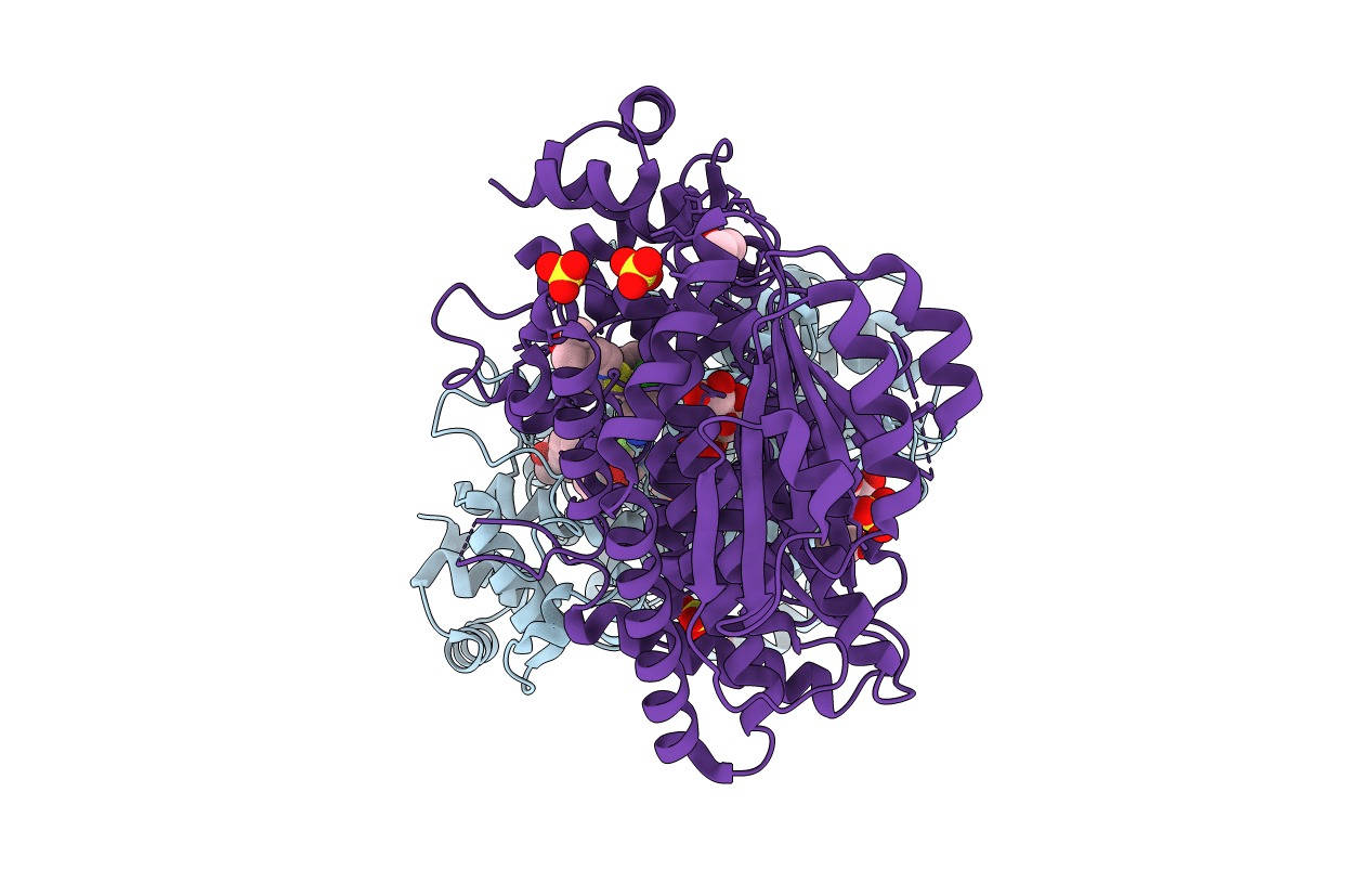 4PX5 image