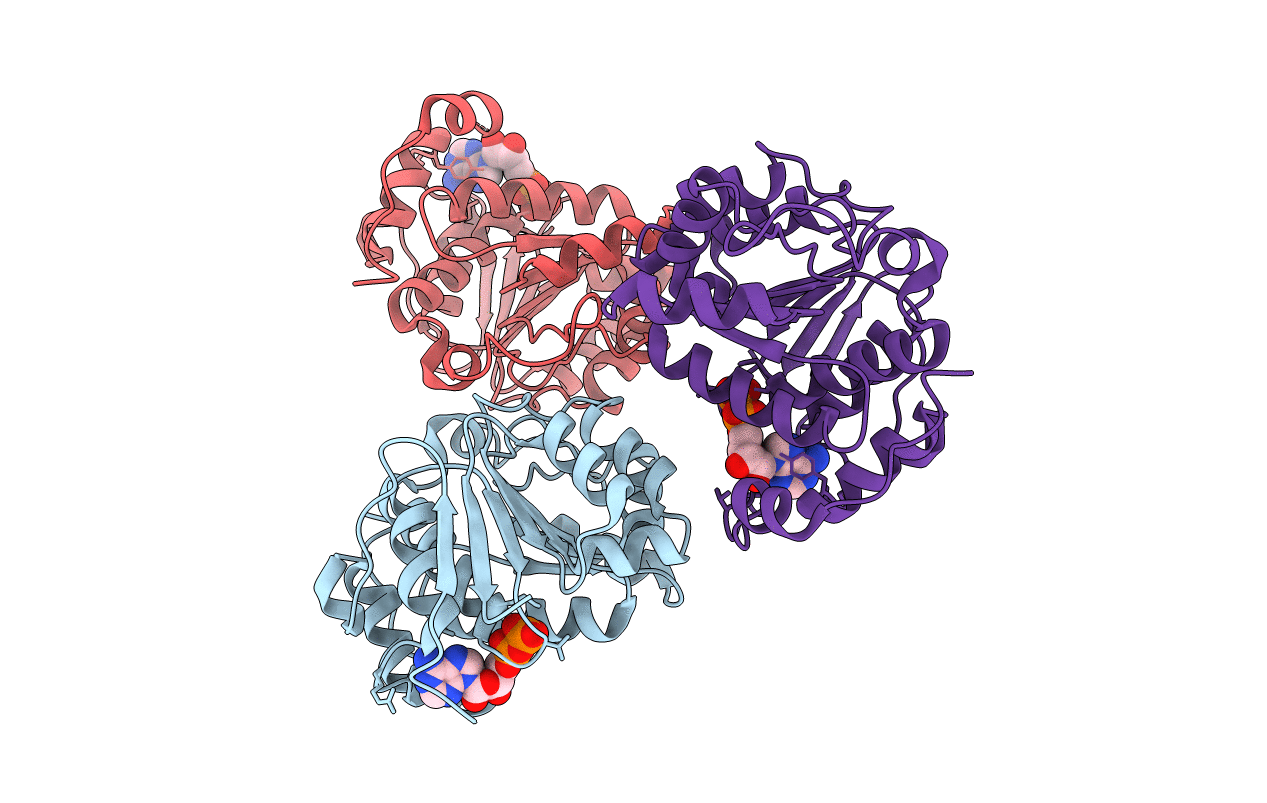 4PX9 image