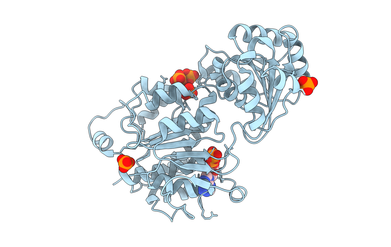 4PXA image