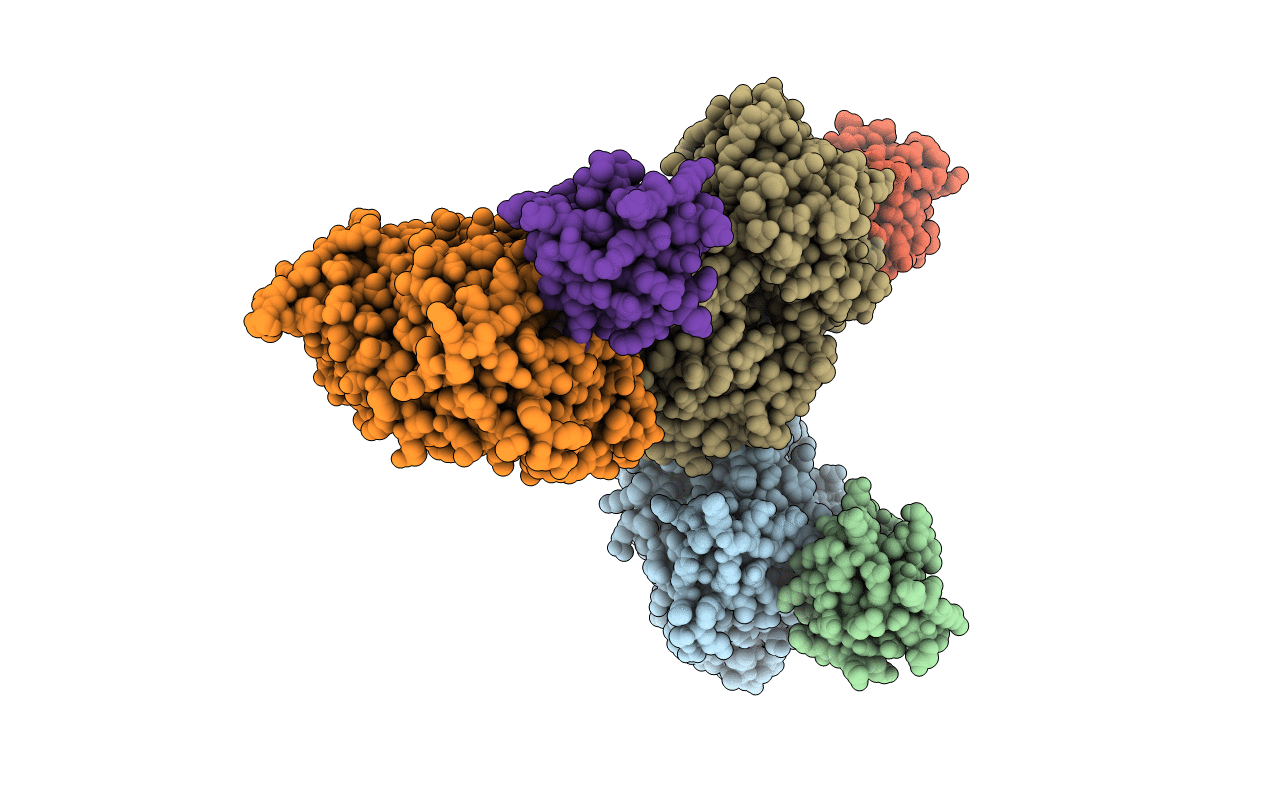 4PXH image