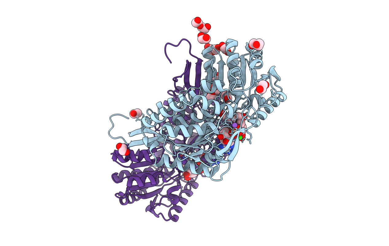 4PXL image