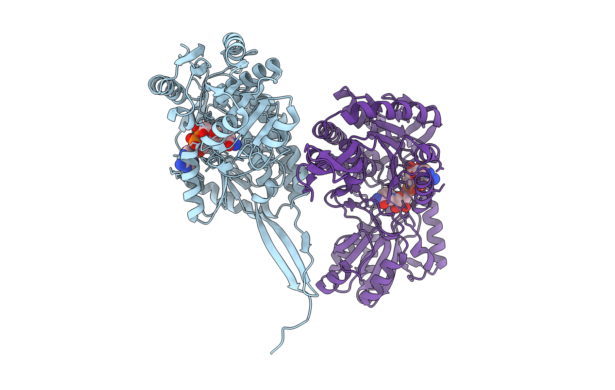 4PXN image