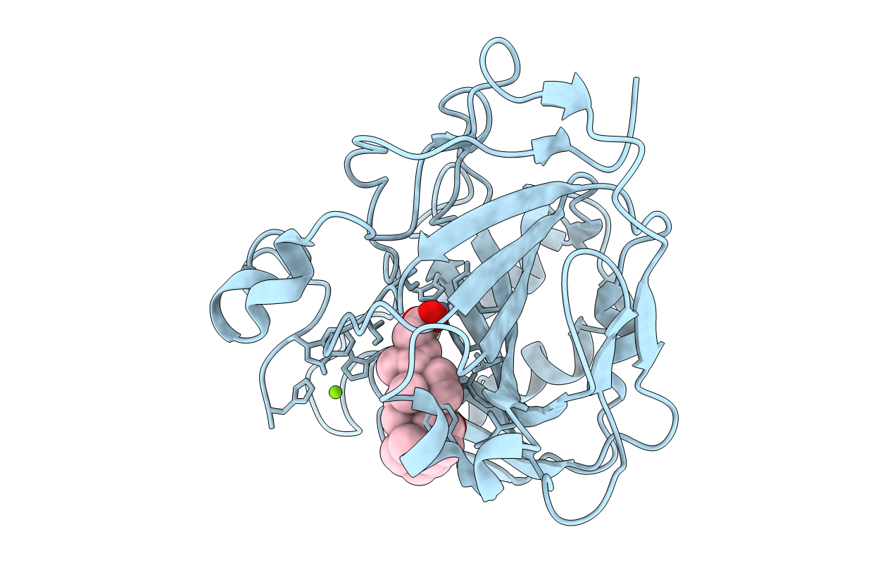 4PXX image