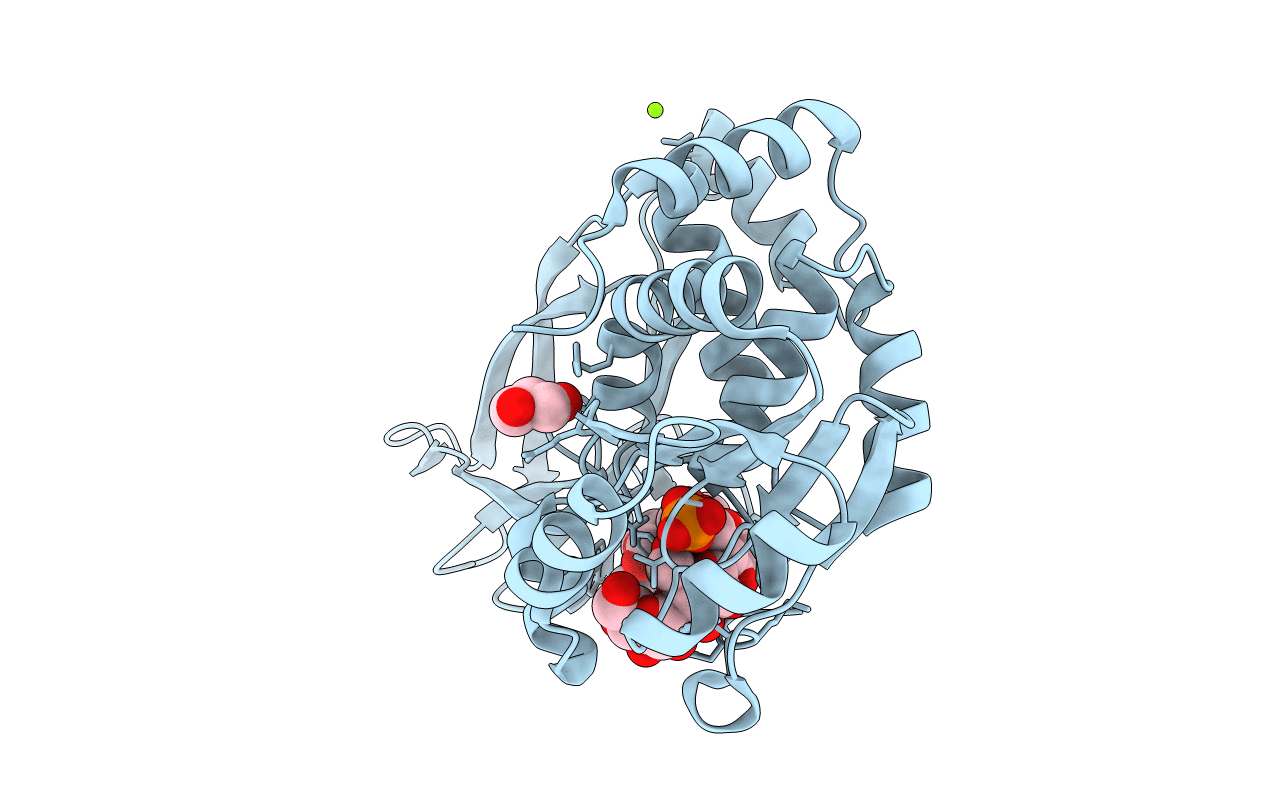 4PYH image