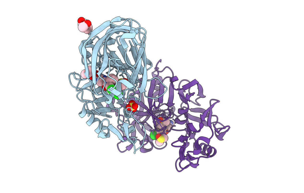 4PYV image