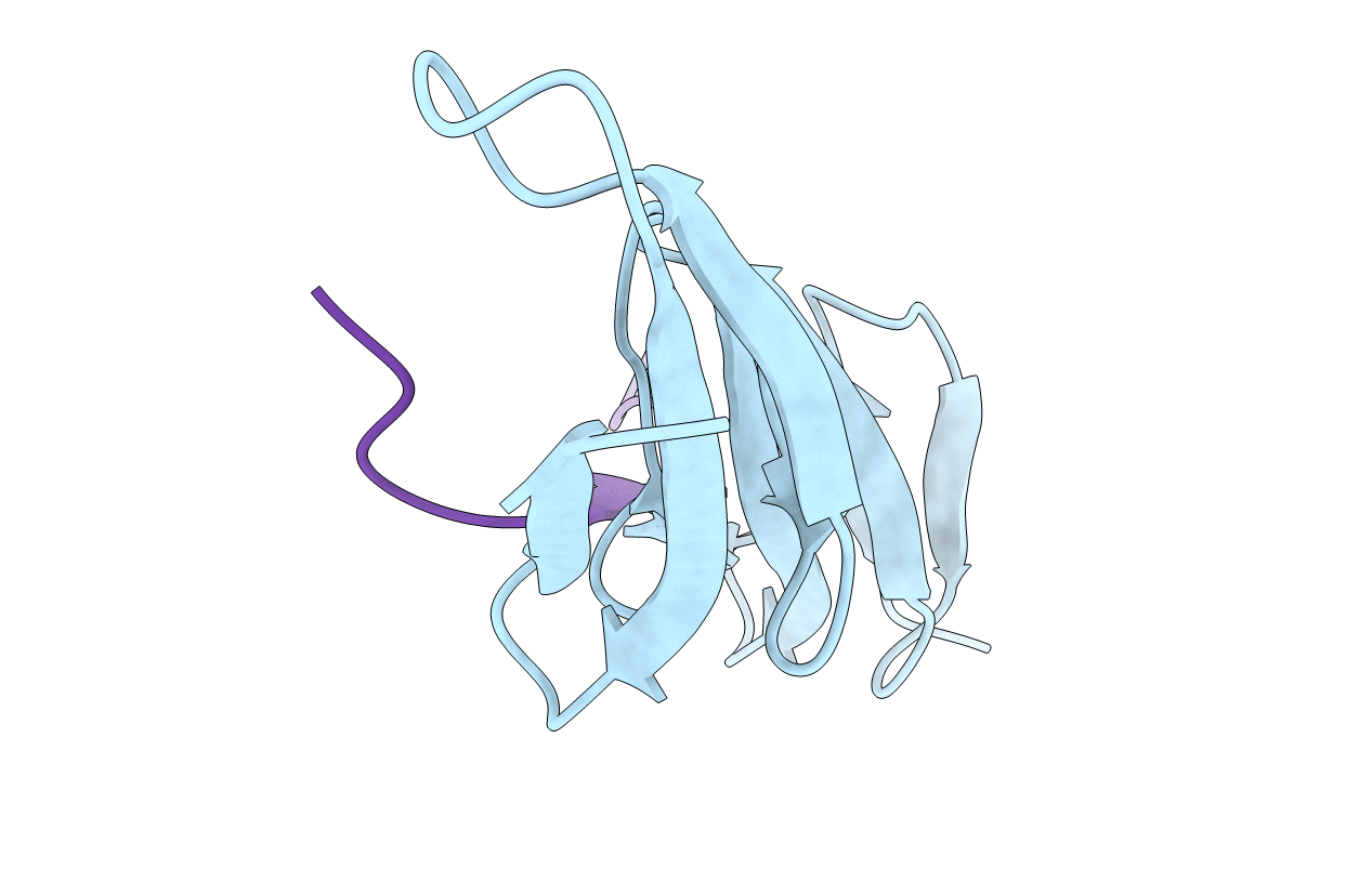 4PZ5 image