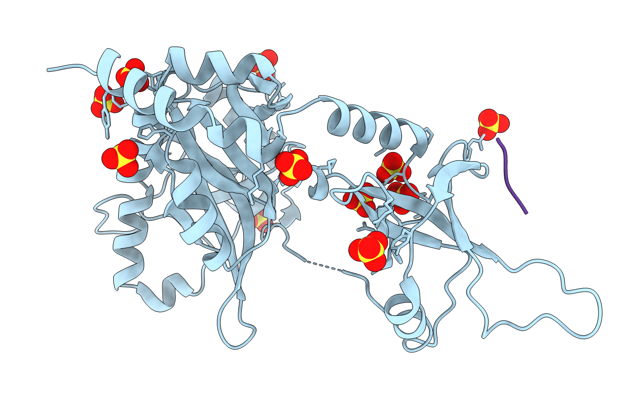 4PZ8 image