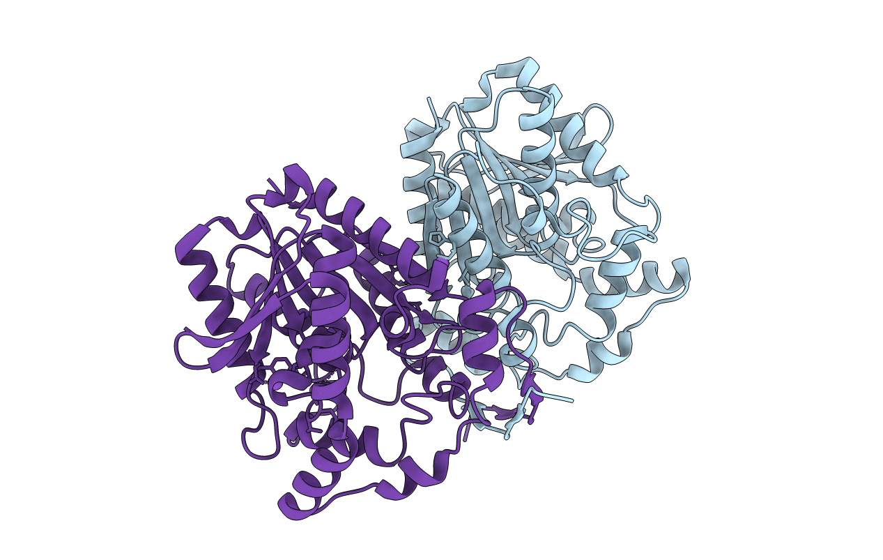 4Q05 image