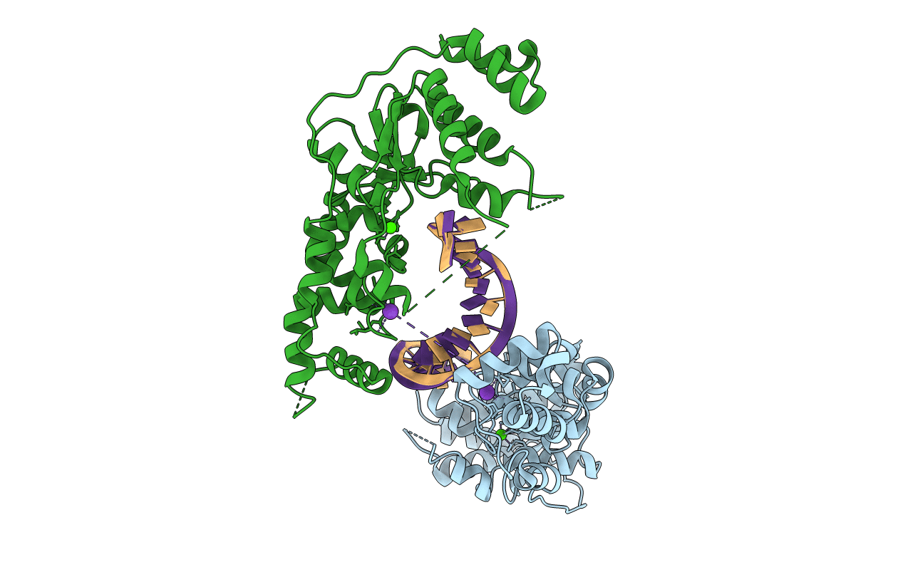 4Q10 image