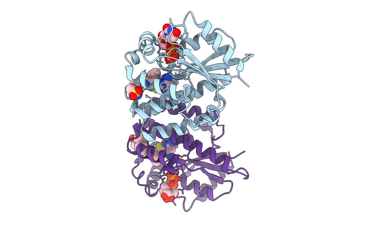 4Q1B image