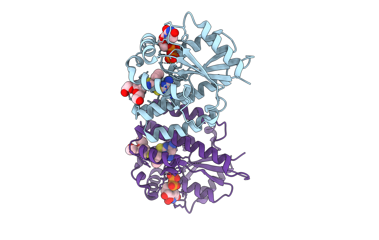 4Q1C image