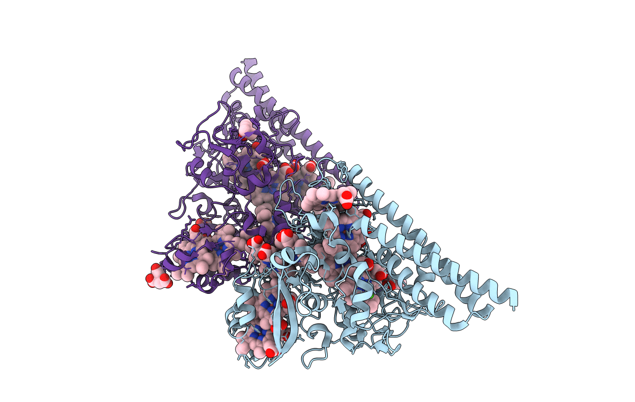 4Q1O image