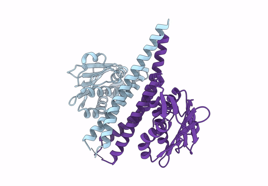4Q20 image