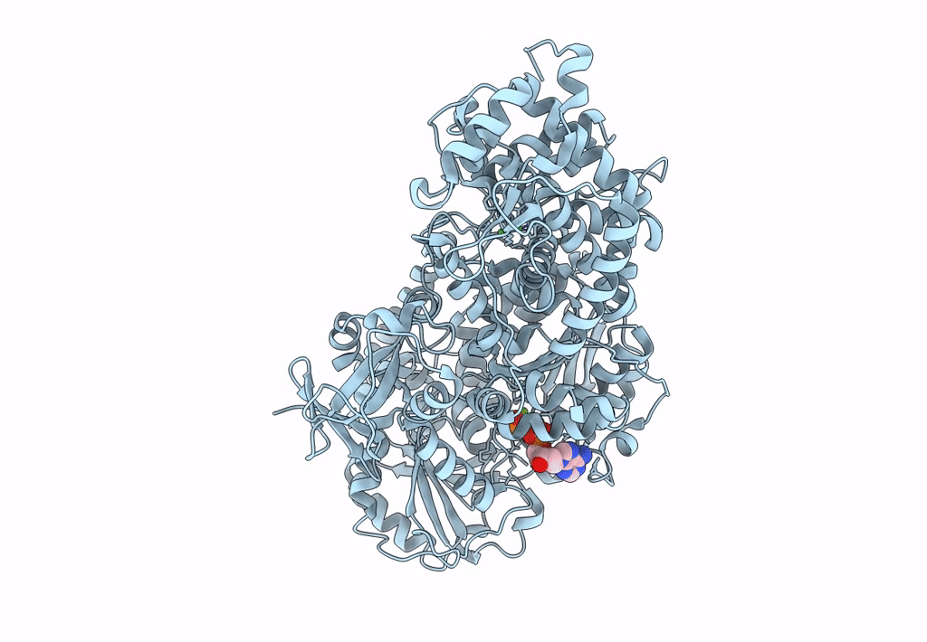 4Q2D image