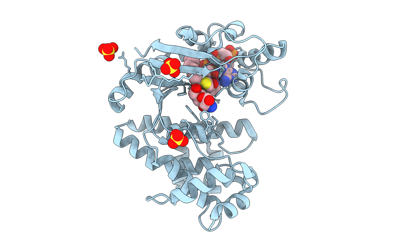 4Q36 image