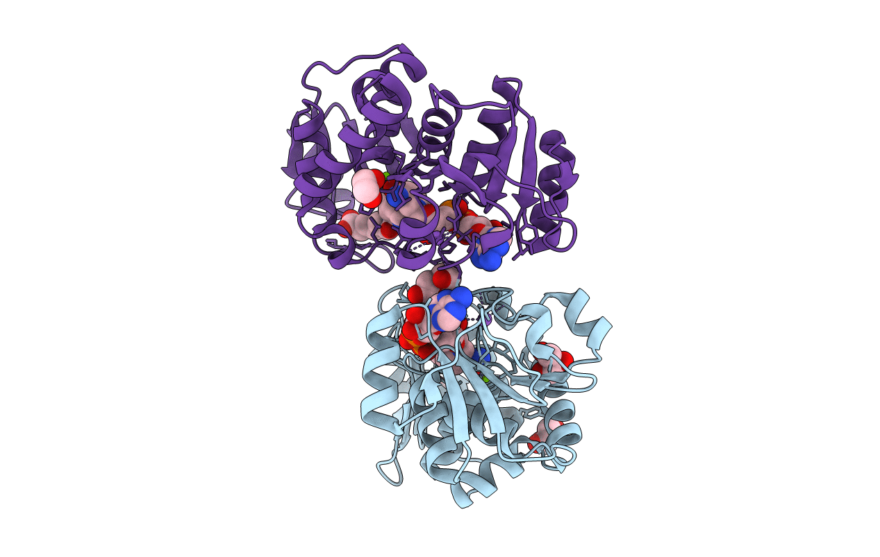 4Q39 image