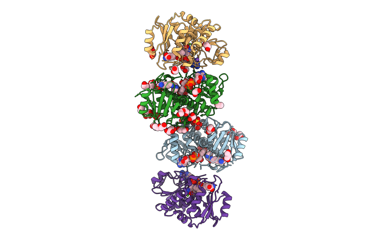 4Q3A image