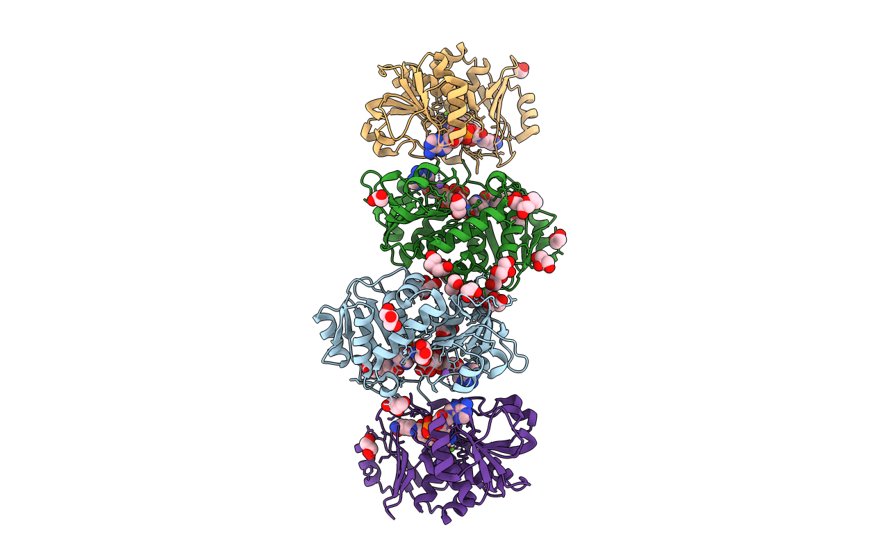 4Q3B image