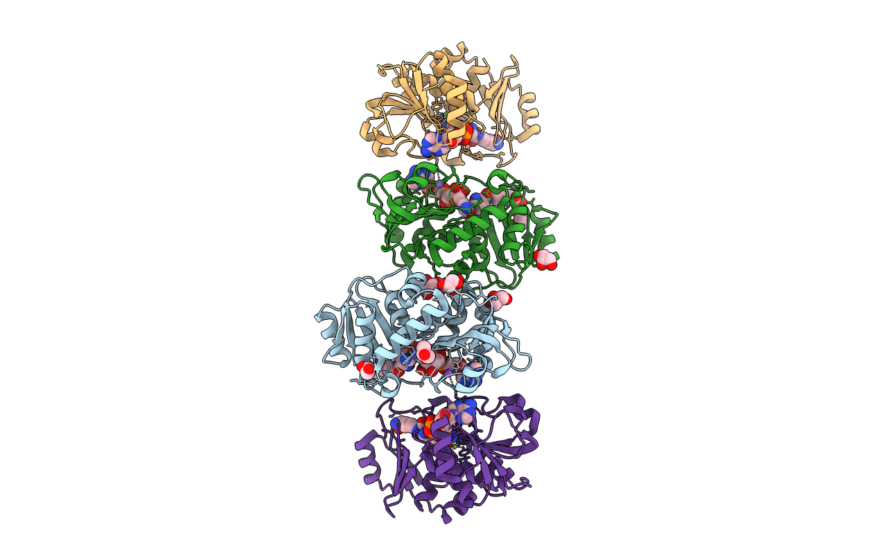 4Q3C image