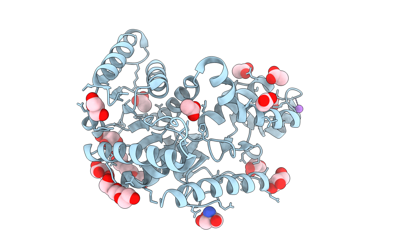 4Q3N image