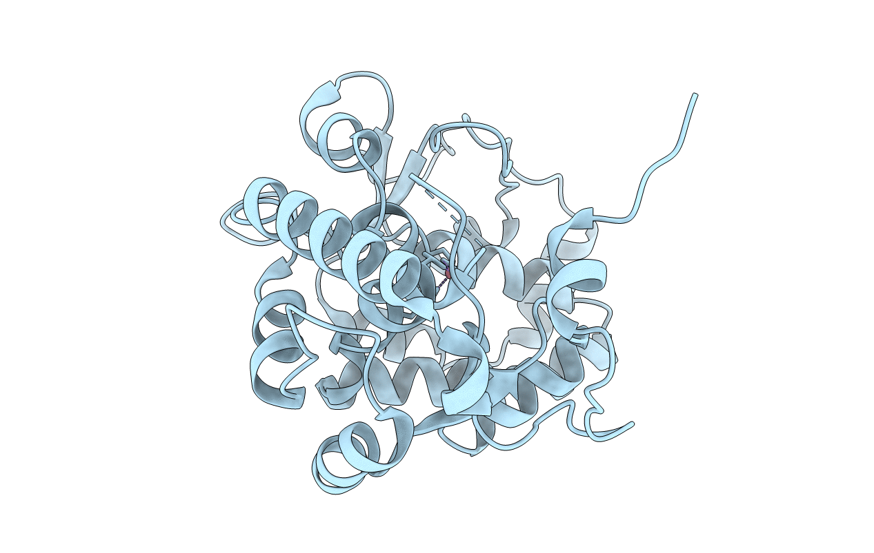 4Q3X image