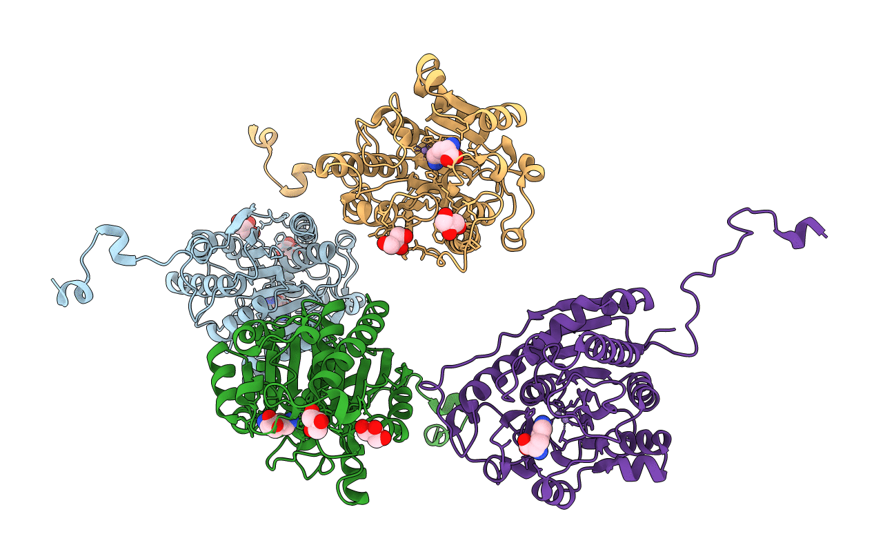 4Q42 image