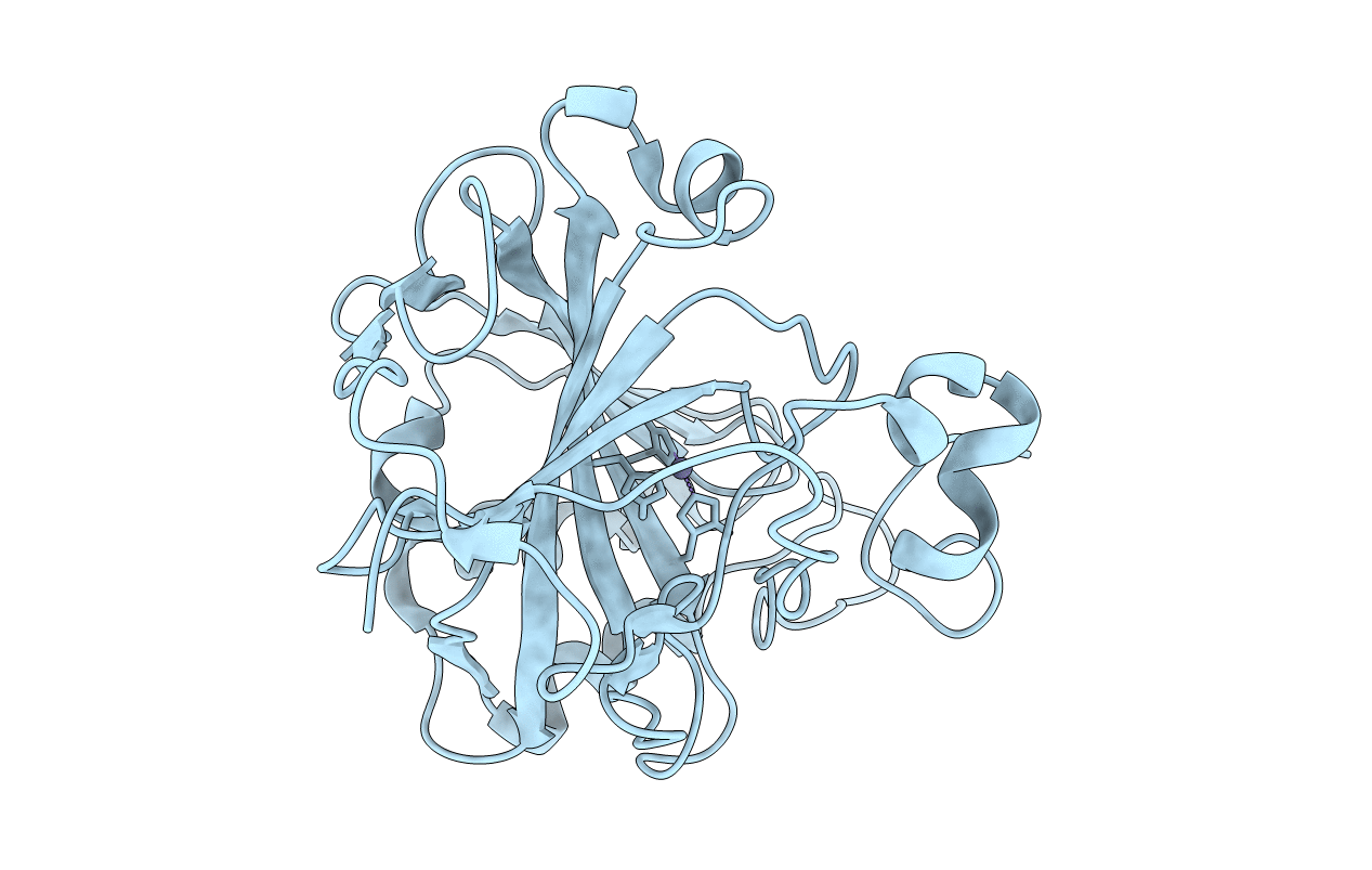 4Q49 image