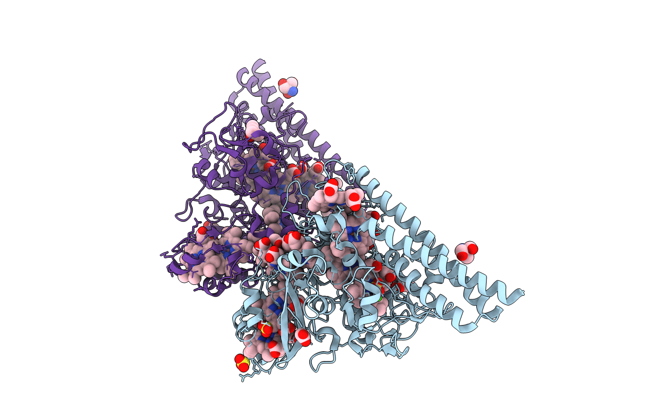 4Q4U image