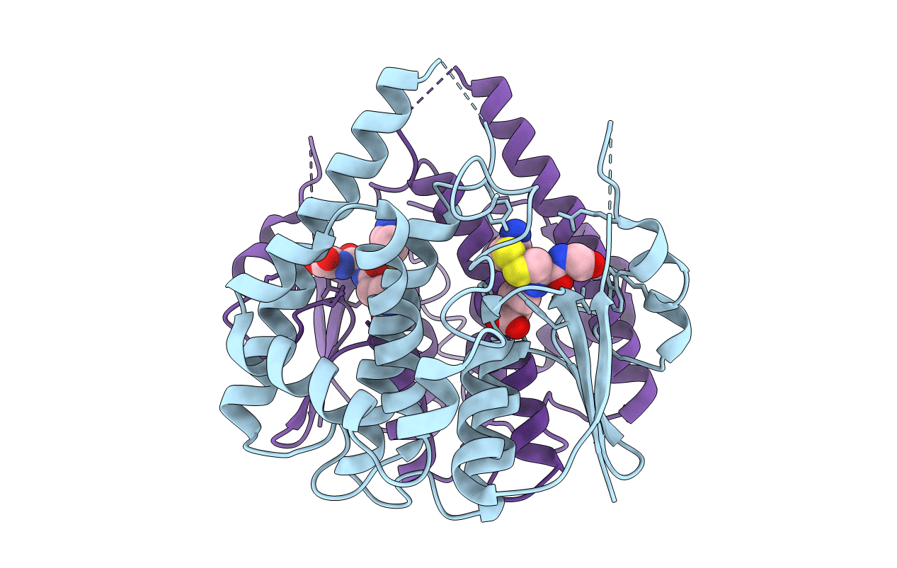 4Q5N image