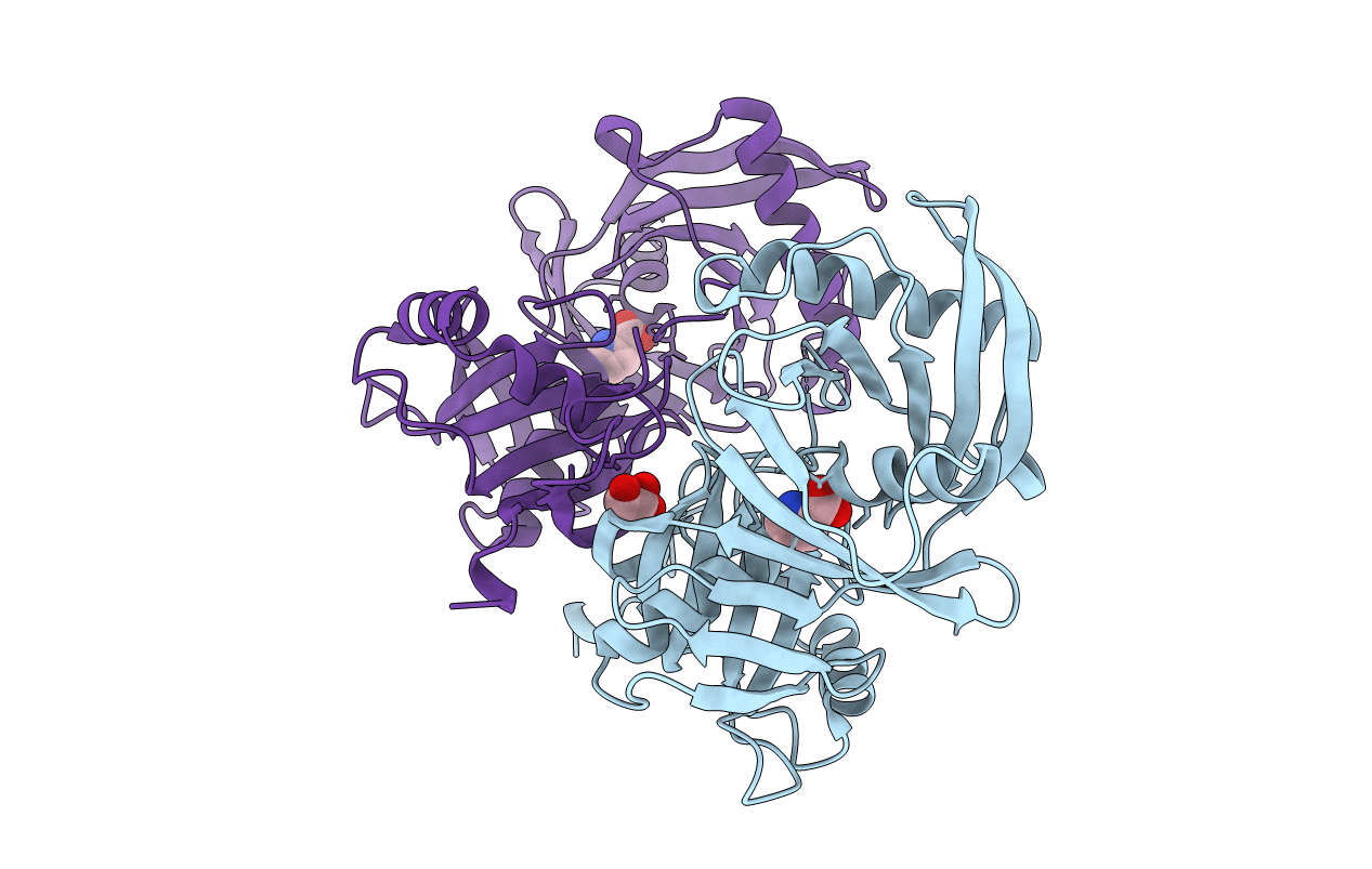 4Q60 image