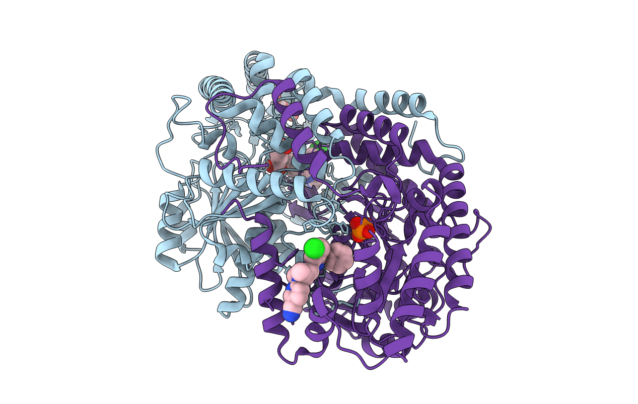 4Q6R image
