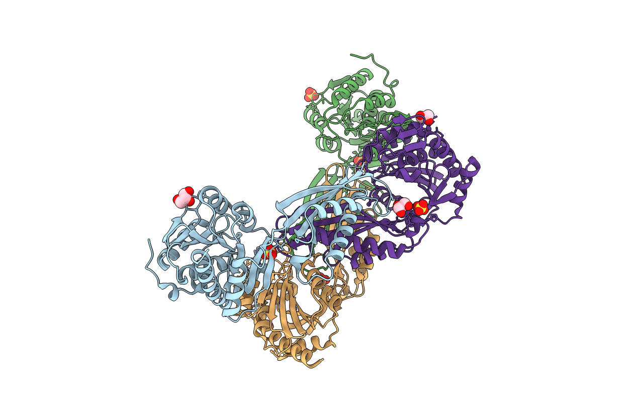 4Q7A image