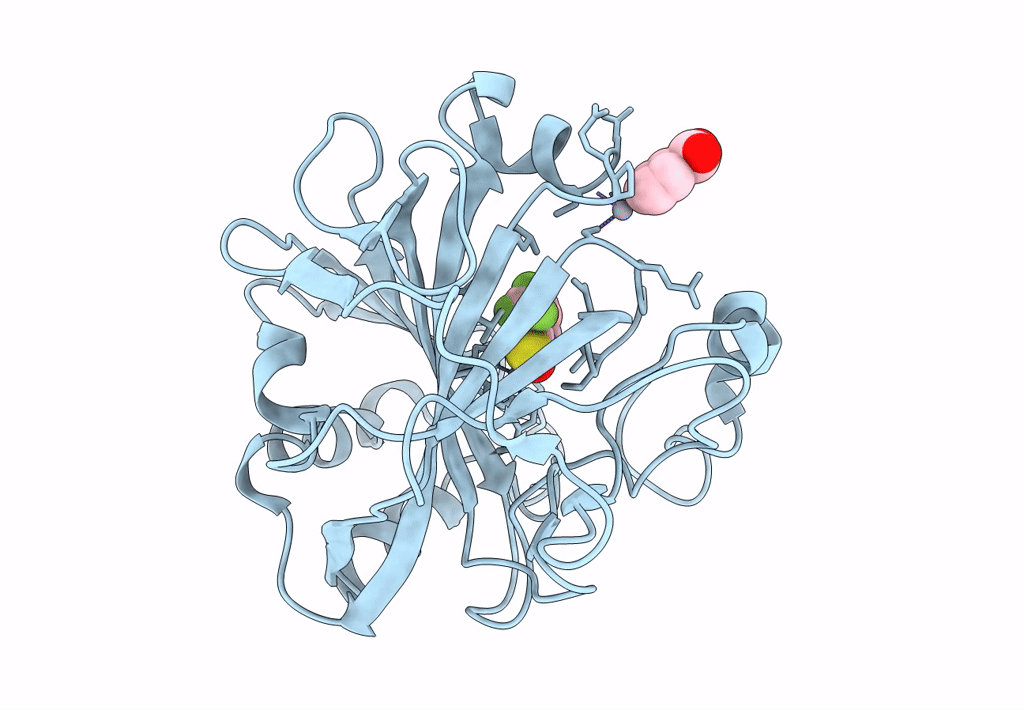 4Q83 image