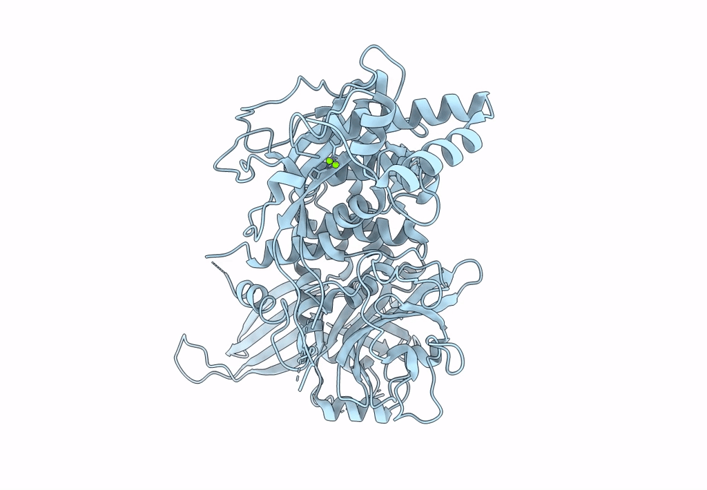 4Q8H image