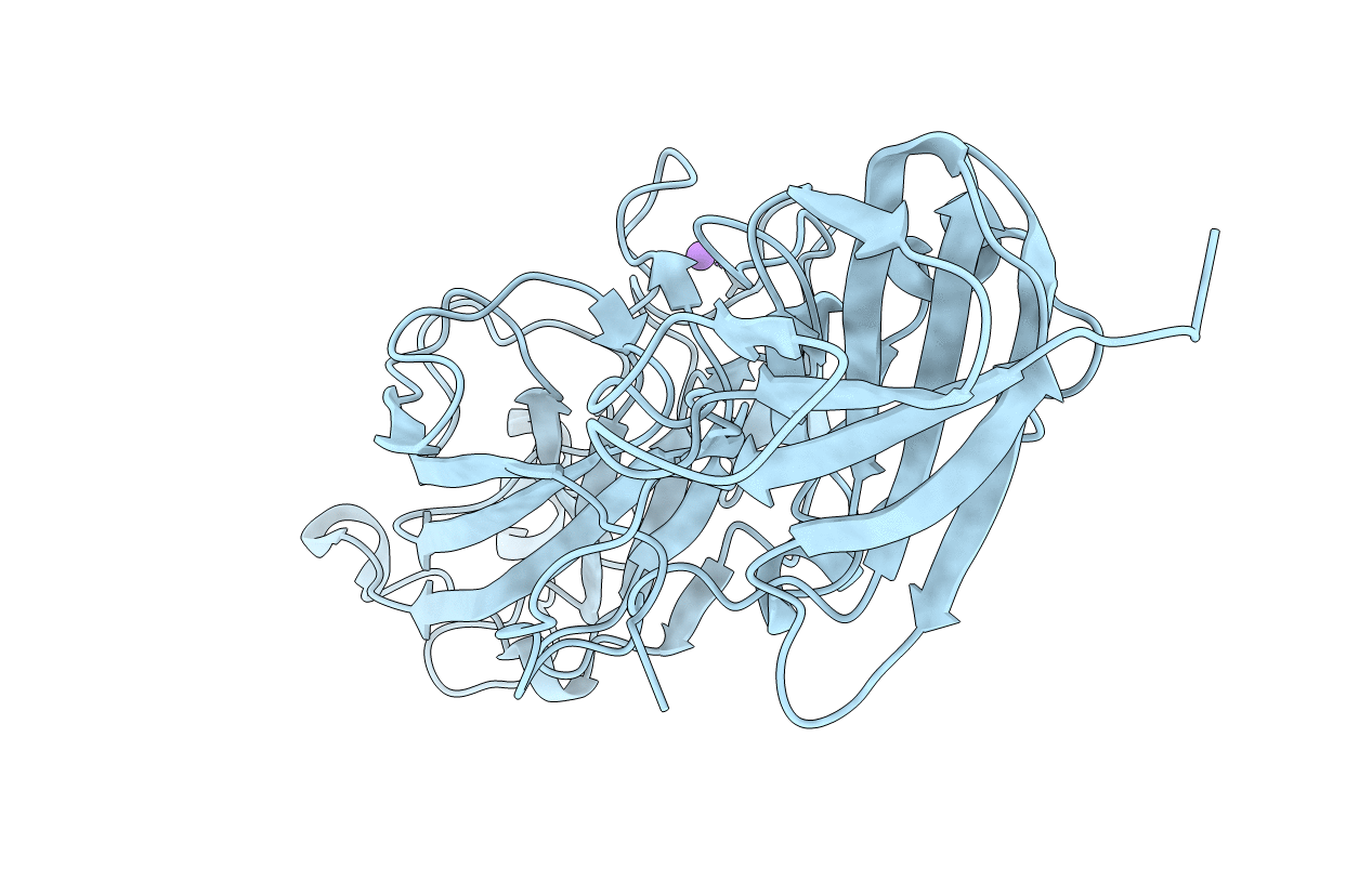 4Q98 image