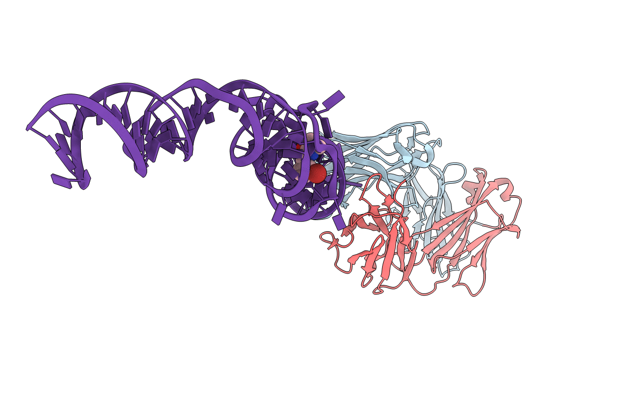 4Q9Q image