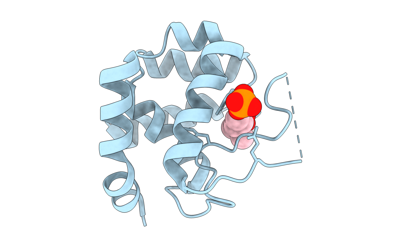 4QDN image