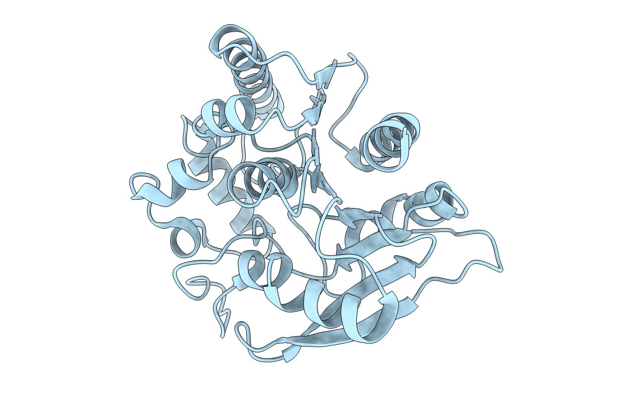 4QDU image