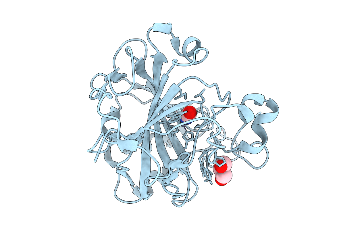 4QEF image